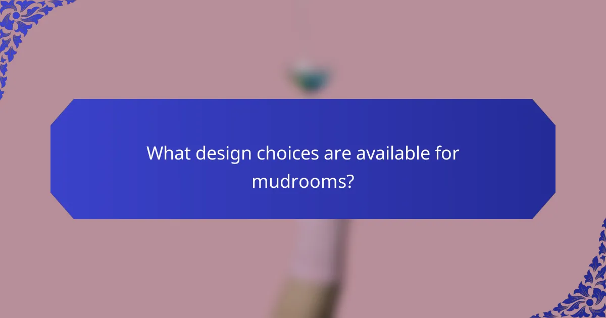 What design choices are available for mudrooms?